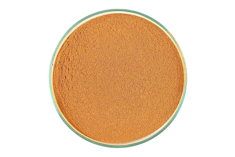 Cynamon Cejloński Mielony